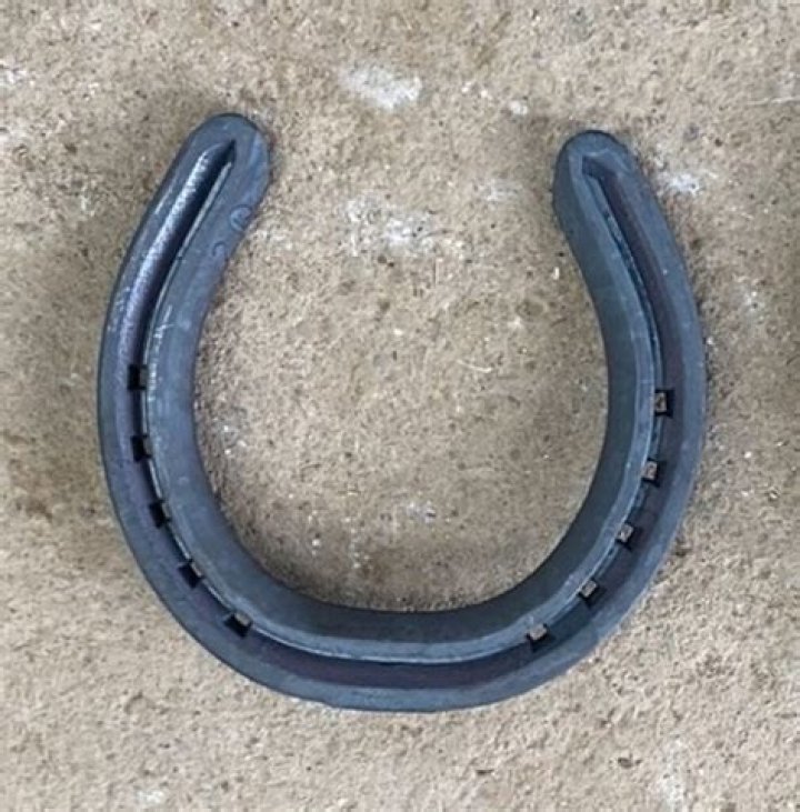 Are horseshoes mild steel?