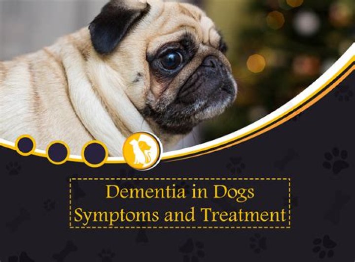 At what age does dementia start in dogs?