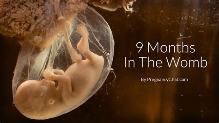 Can a child be born pregnant?