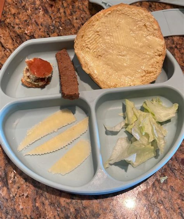 Can babies have burgers?