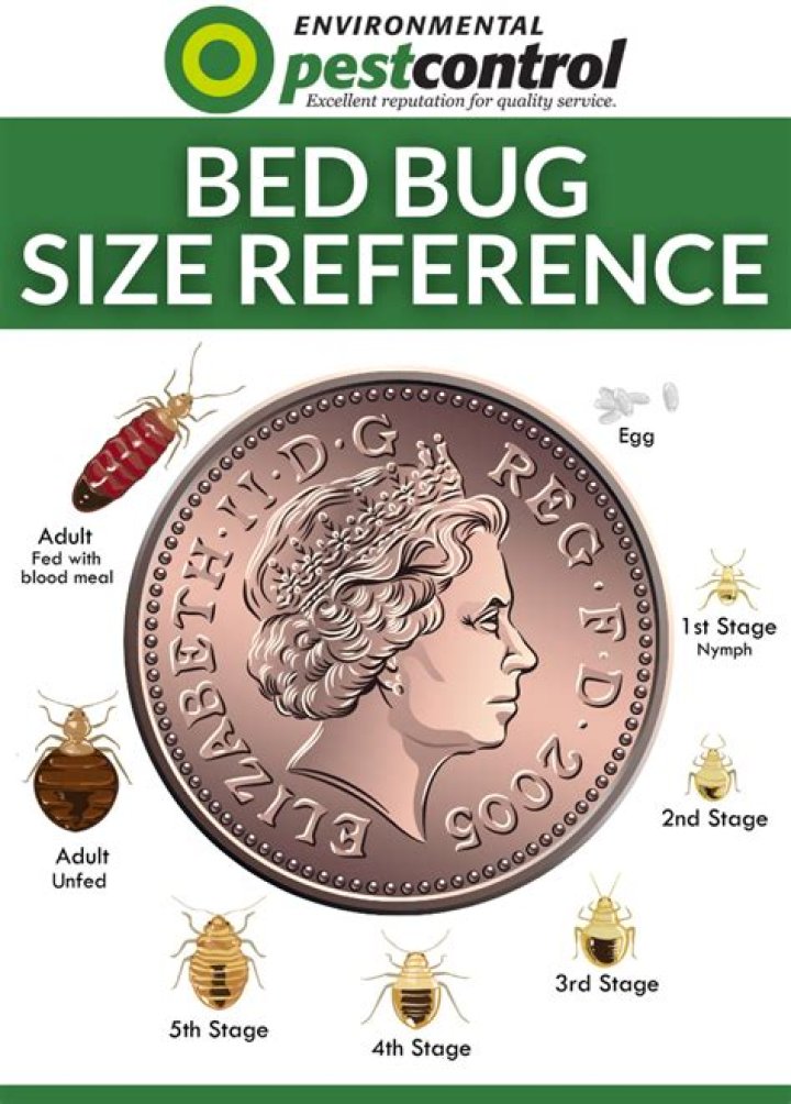 Can bed bugs be contained to one room?