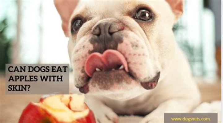 Can dogs eat apples with skin?