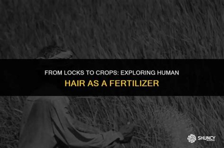 Can human hair be used as fertilizer?