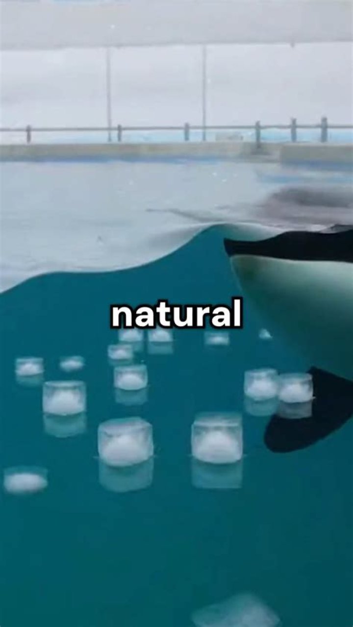 Can I eat ice instead of drinking water?