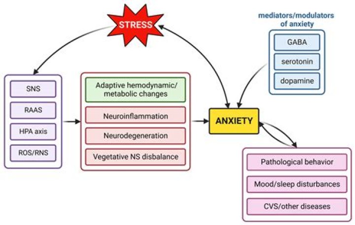 Can melatonin cause anxiety and depression?