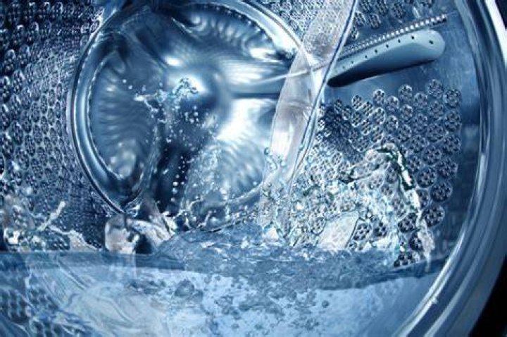 Can rats get into washing machine?