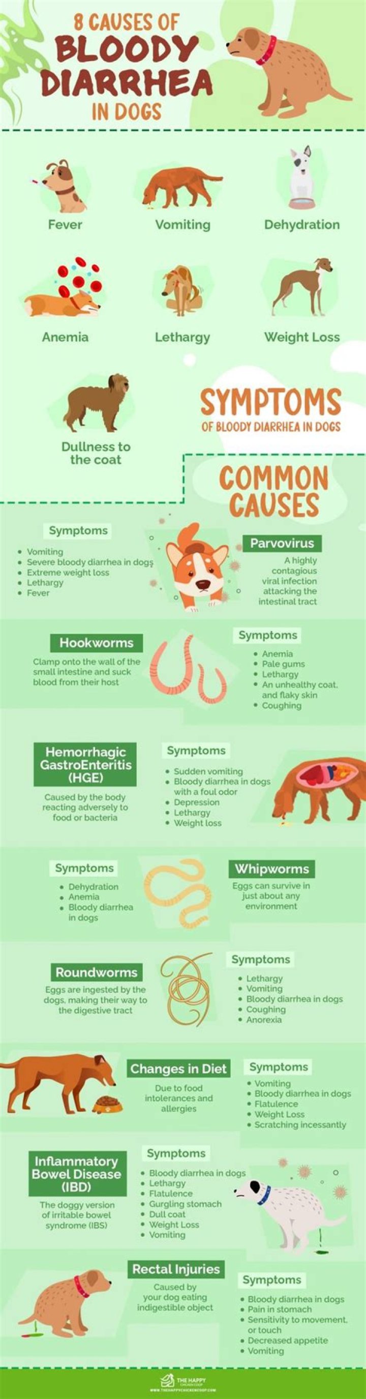 Can stress cause bloody diarrhea in dogs?