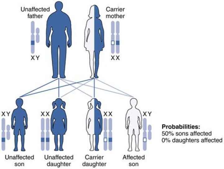 Can you inherit OCD from a parent?