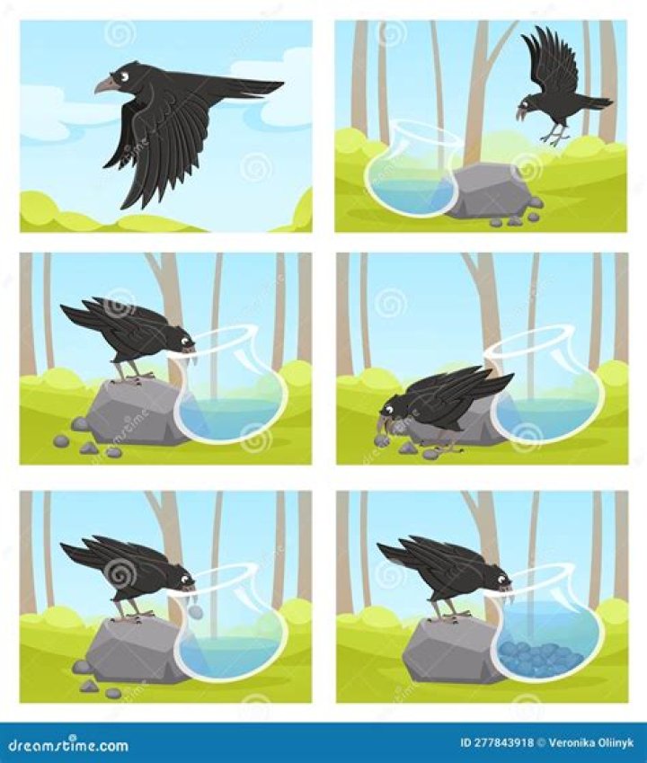 Do birds get thirsty?