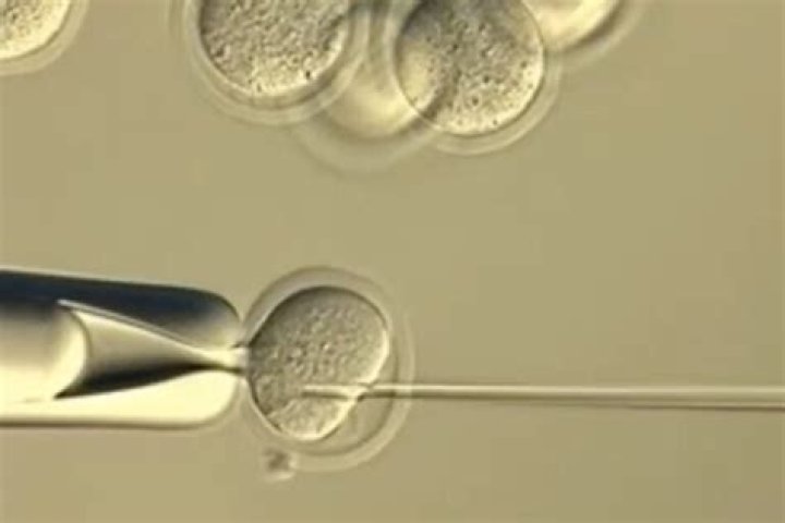 Do clones yield less?