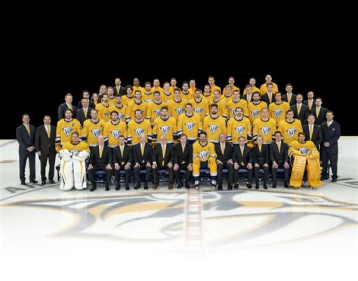 Do the Nashville Predators make money?