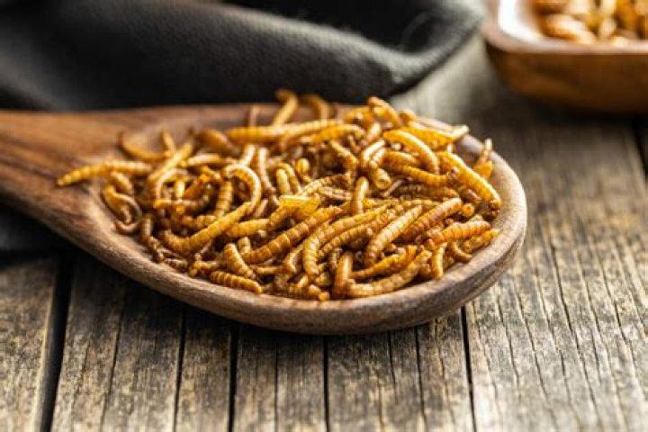 Do worms eat themselves?