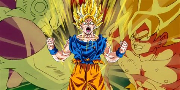 Does Goku have a last name?