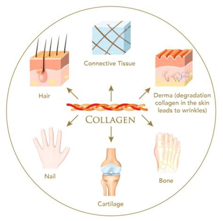 Does pinching skin stimulate collagen?