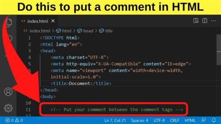 How can you add a comment in a JavaScript Mcq?