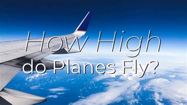 How do planes avoid birds?