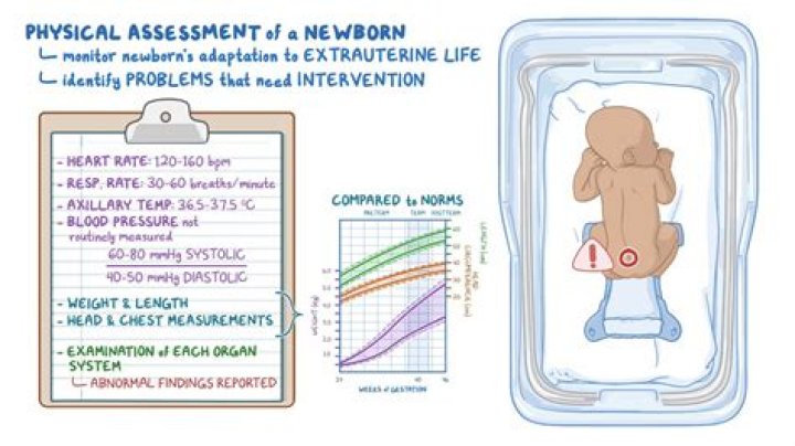 How do you entertain a newborn when awake?