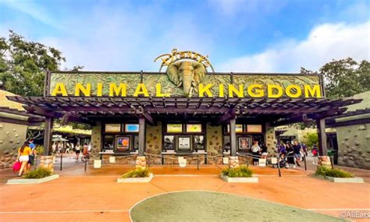 How do you get into Animal Kingdom?