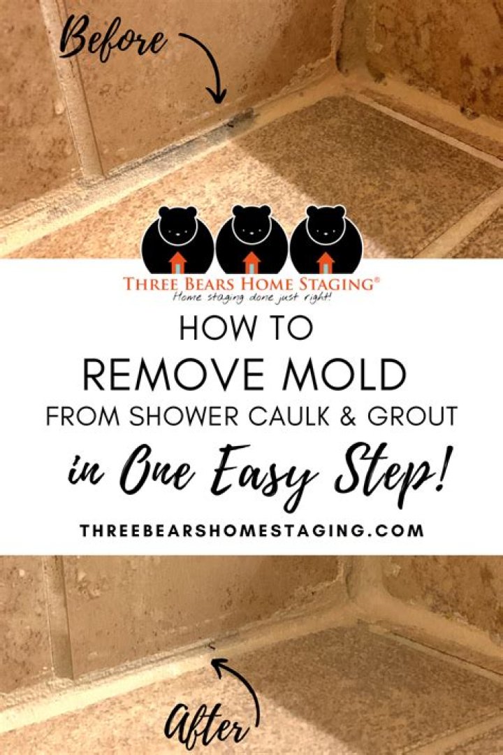 How do you get orange mold out of shower grout?