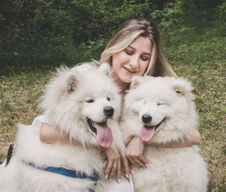 How do you know if a dog trusts you?
