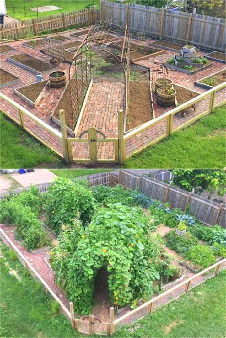 How do you layout a vegetable garden?