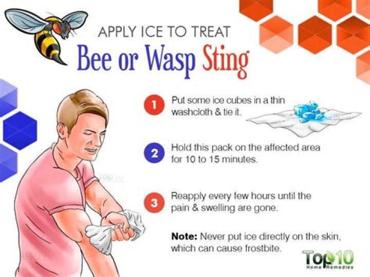 How do you treat a ground bee sting?