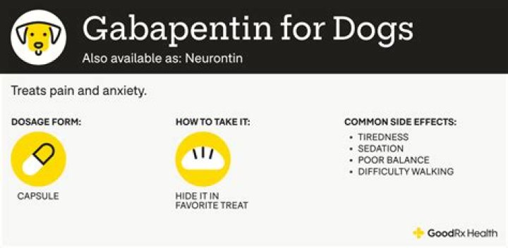 How effective is gabapentin for dogs?