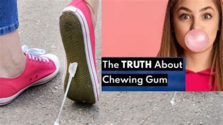 How long does gum take to decompose?