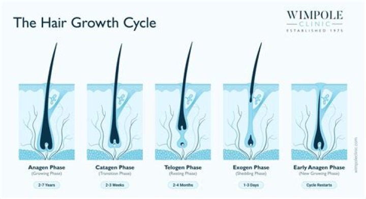 How long does it take to train your hair to be washed less?