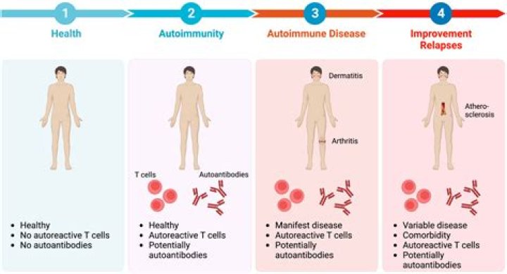 How many autoimmune diseases can a person have?