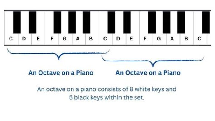 How many octaves Adele have?