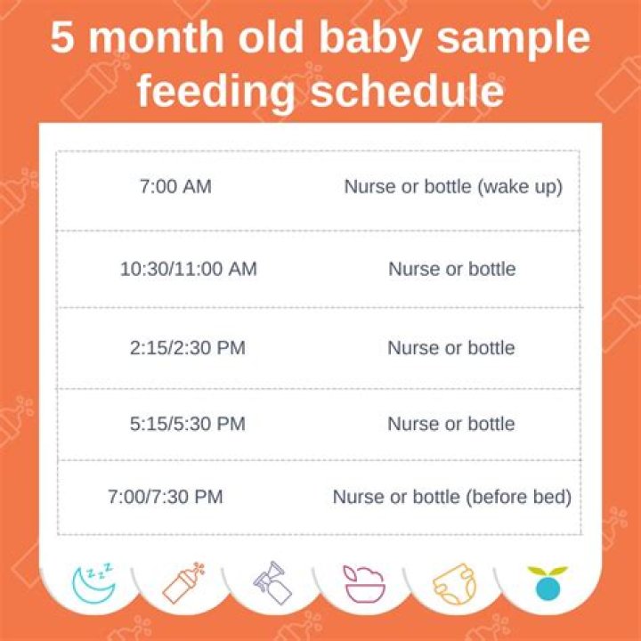How many times a day do u feed goldfish?