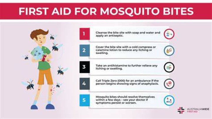 How many times will one mosquito bite you?