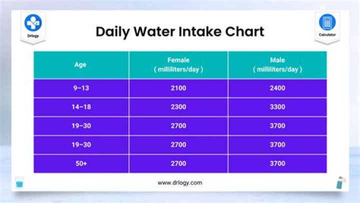 How much water should I drink to get a good ultrasound?