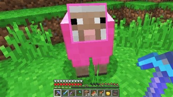 How rare is a pink sheep in Minecraft?