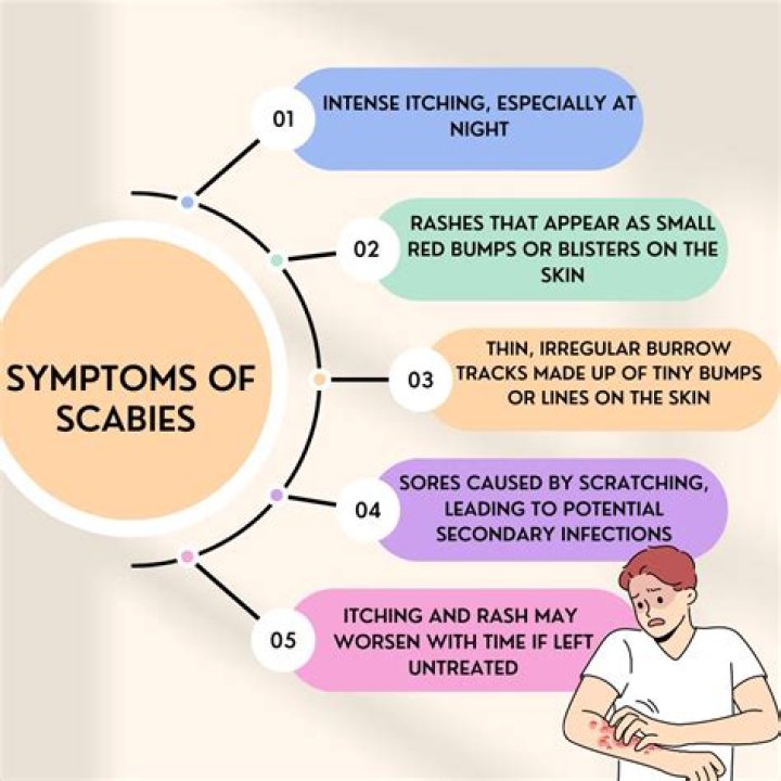 How will I know when my scabies are gone?