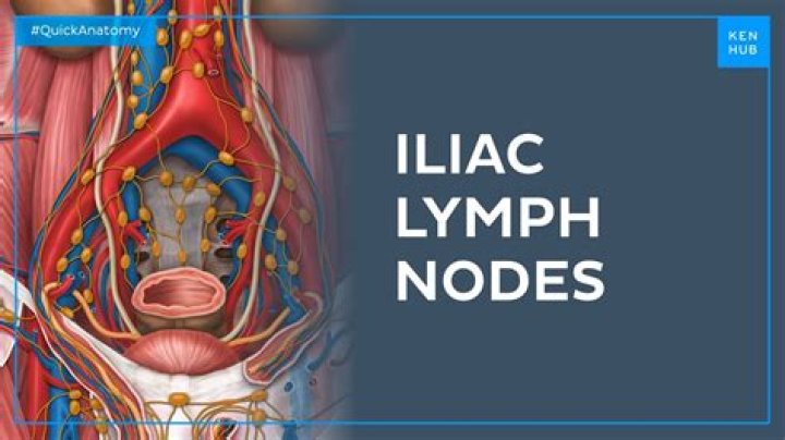 Is a 2 cm lymph node big?