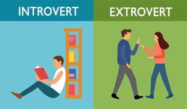 Is accounting for introverts?