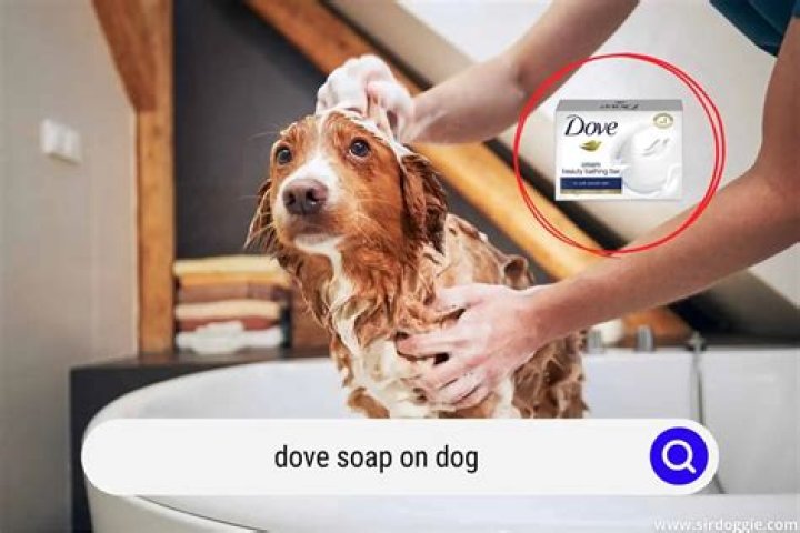 Is Dove soap safe for dogs?