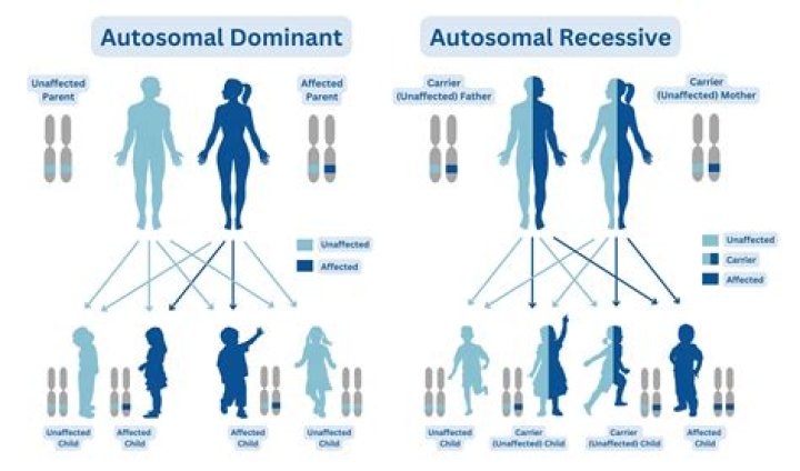 Is Down syndrome dominant or recessive?