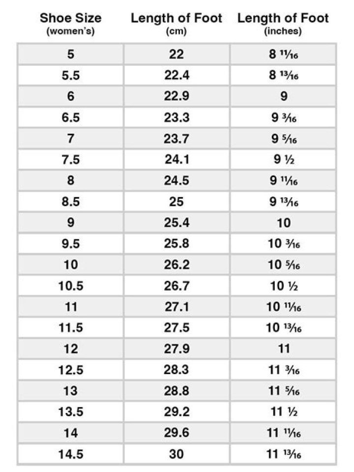 Is shoe size categorical or numerical?