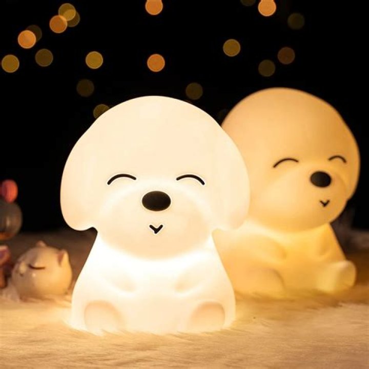 Should I leave a light on at night for my dog?