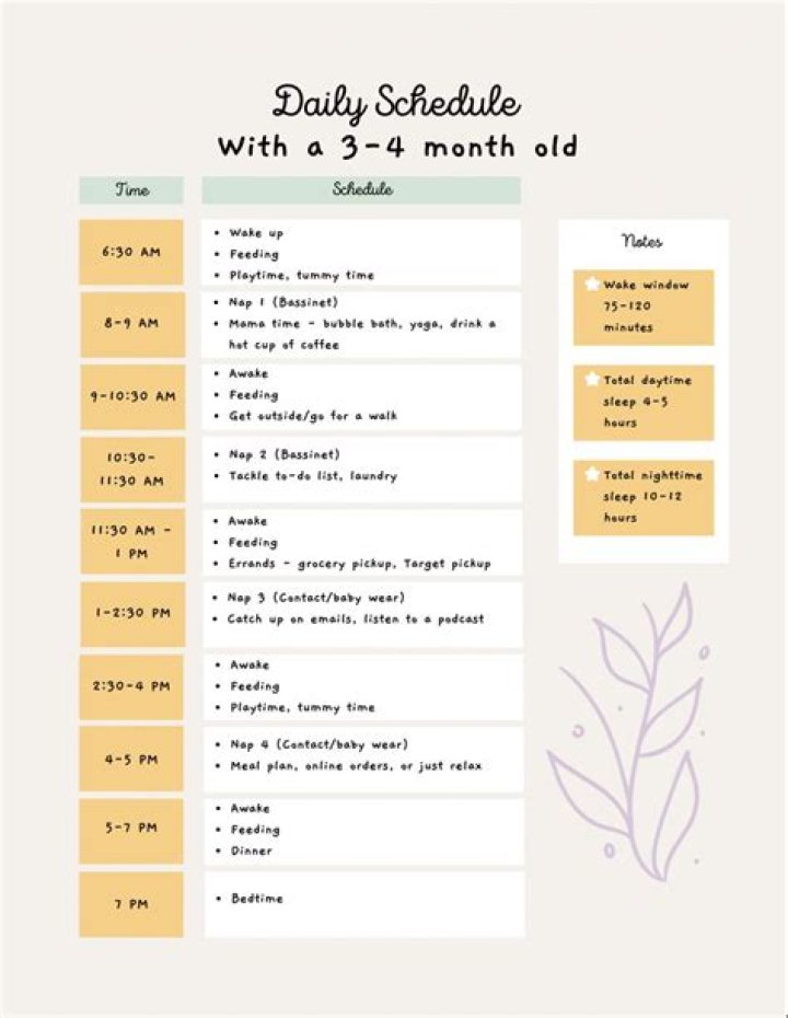 What's a good schedule for a 3 month old?
