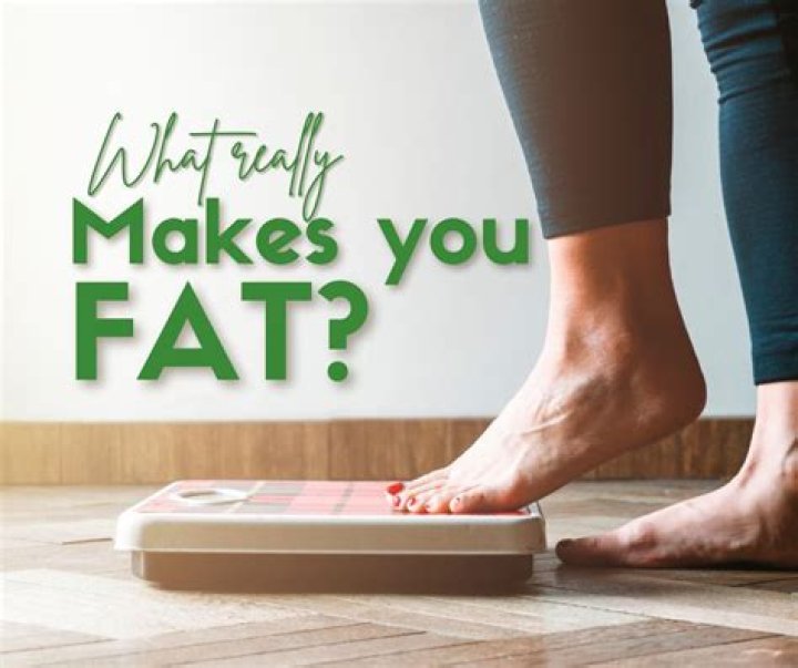 What actually makes you fat?