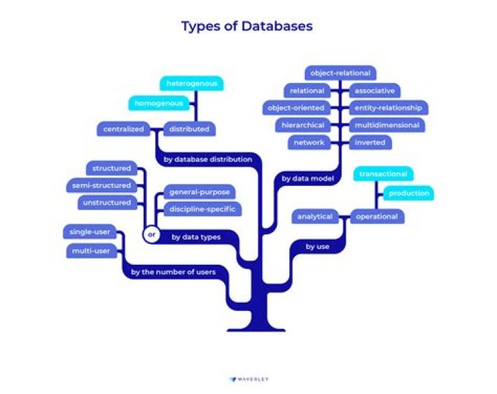 What are data types in database?
