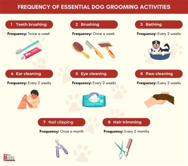 What are examples of grooming?