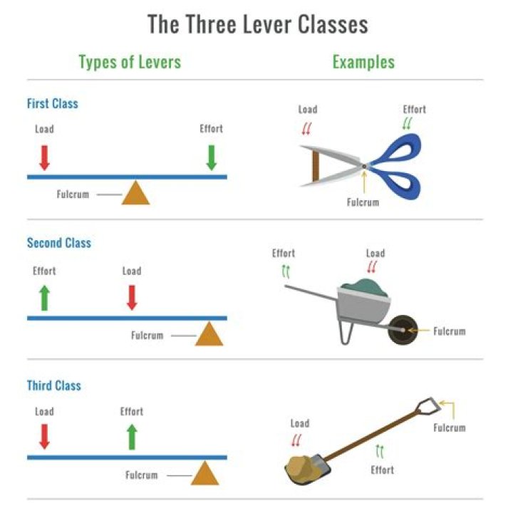 What are the 3 types of military?