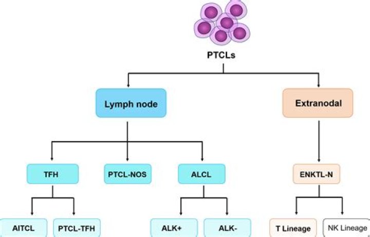 What blood test results indicate lymphoma?
