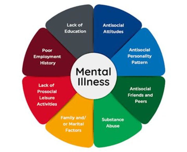 What causes mental illness?