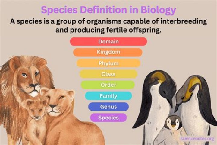 What Closed species?